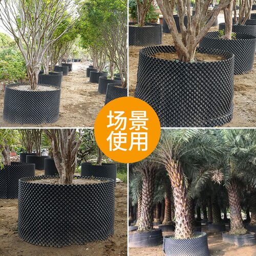 升级3代加厚1.0控根器植树专用围树板塑料排水板黑色限根器阻根板