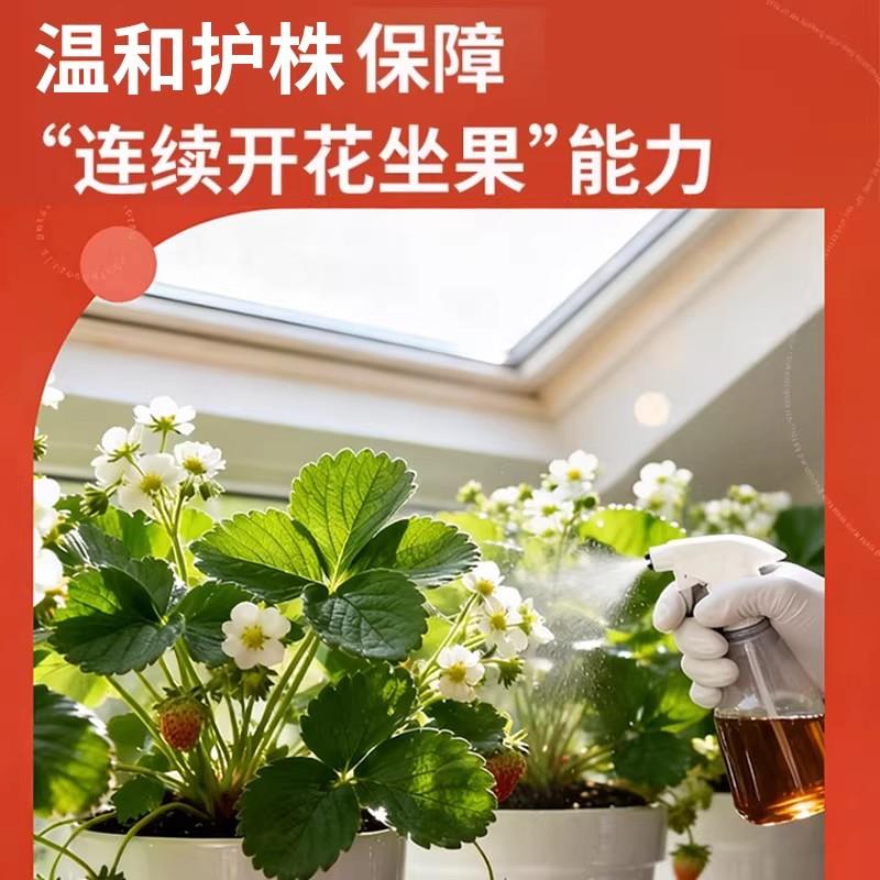 草莓专用肥鱼蛋白水溶肥氨基酸有机肥营养液膨果增甜叶面瓜果肥料