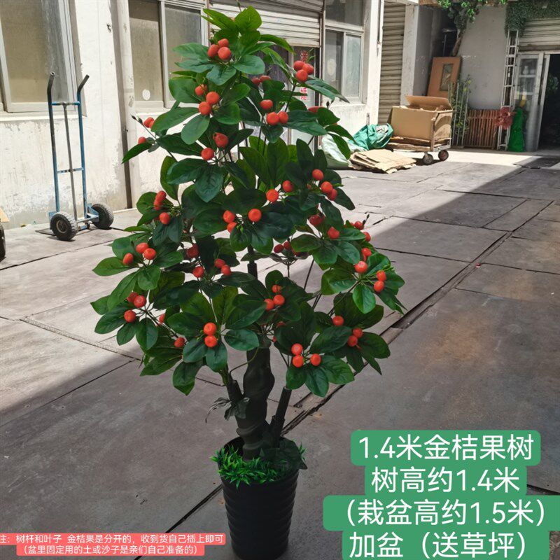 假水果树仿真绿色植物招财果金桔果摇钱果家居室内装饰摆件客厅盆
