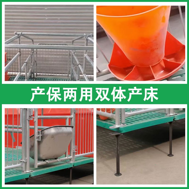 母猪产保两用双体产床养殖场猪用定制全复合保育分娩母猪产床