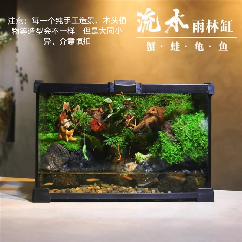 宠物树蛙角蛙生态造景缸创意桌面苔藓微景植物瓶绿植盆栽玻璃盆景
