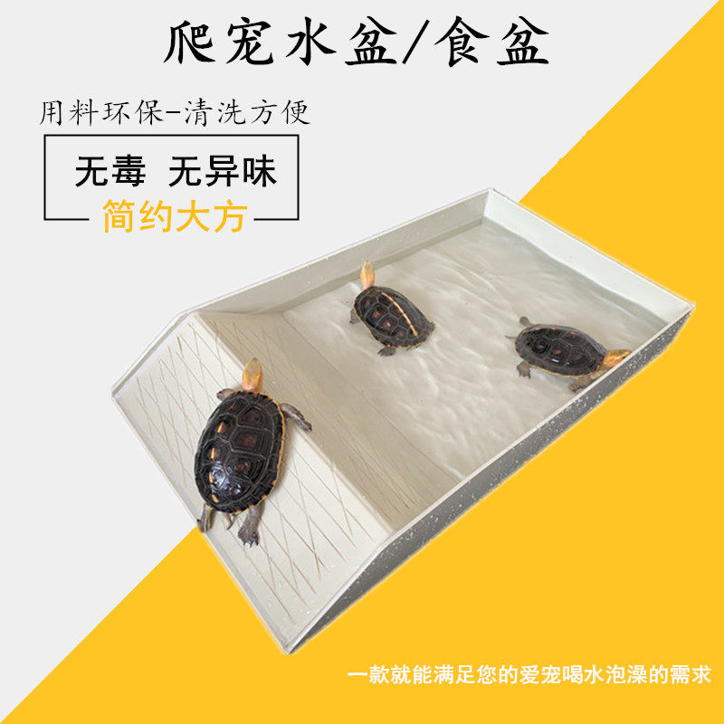乌龟喂食盆喂水盆塑料陆龟半水龟爬宠物超大泡澡盆蜥蜴水盆饮水盘