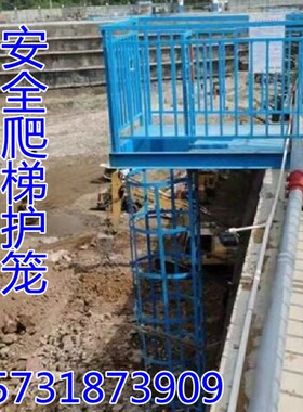 15J401国标图集钢爬梯安全爬梯护笼户外钢直梯基坑铁梯子护笼爬梯