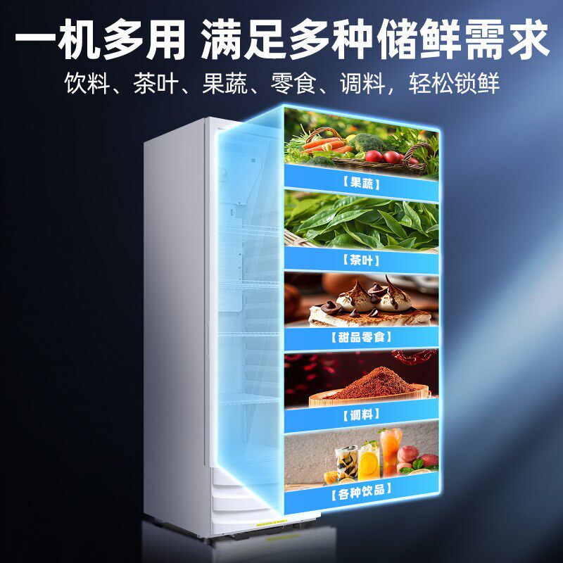 星星冷藏展示柜商用单门风直冷冰箱一级能效超市保鲜柜立式饮料柜