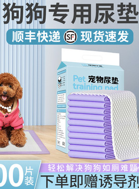 狗狗尿垫加厚除臭吸水隔尿垫幼犬诱导引导小狗定点排便上厕所尿垫