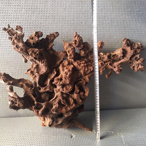 爬宠造景枯木干变色龙爬虫造景雨林生态造景箱杜鹃根藤沉木龟晒台