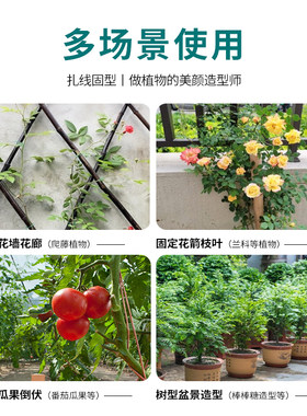 植物固定园艺扎线捆扎器铁丝扎带花支架支撑绑扎花艺花架绑花架子