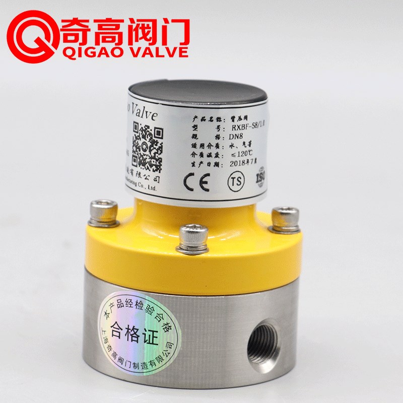 304不锈钢背压阀丝口316内螺纹计量QSBF管件4分1寸6DN40奇高阀门