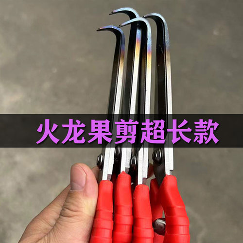 加厚超长款火龙果剪刀专用炎芽剪修芽修枝剪果剪子勾剪弯剪剪芽刺