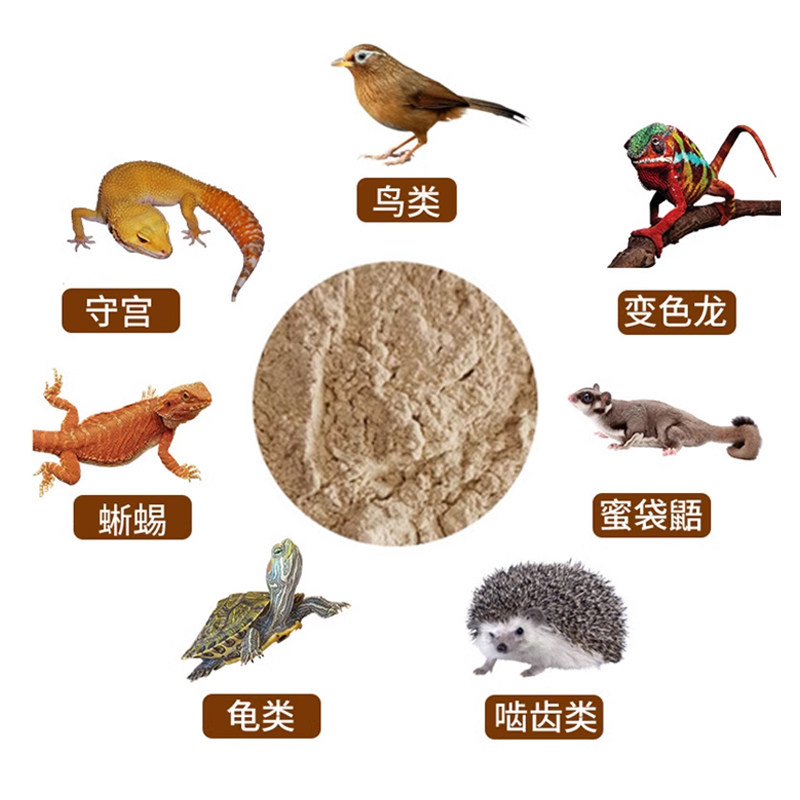 无菌白蟋蟀粉高蛋白睫角蟋蟀粉泰国守宫成体幼苗R属巨人果泥粮粉