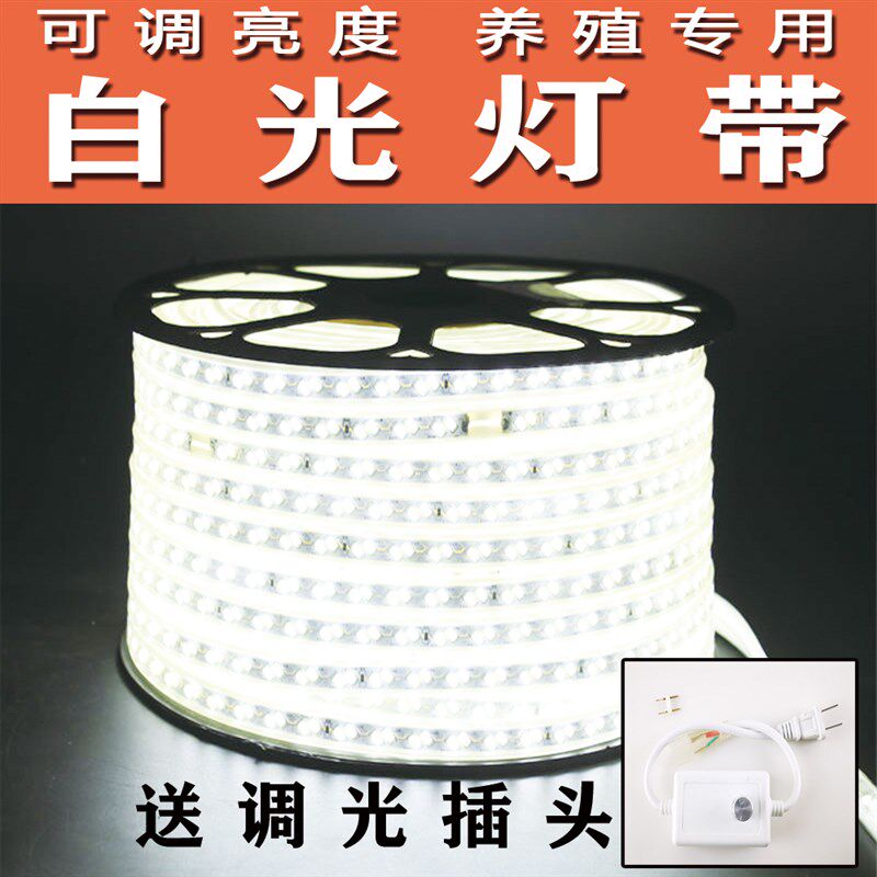 养殖场鸡舍专用led灯带可调亮度调光白光暖光照明防水户外灯条