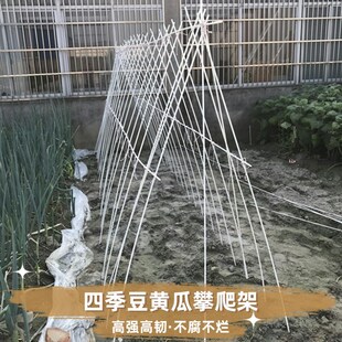 豆角黄瓜爬藤架家用农用豇豆架玻璃纤维杆玻璃钢小苗支撑杆棒架子
