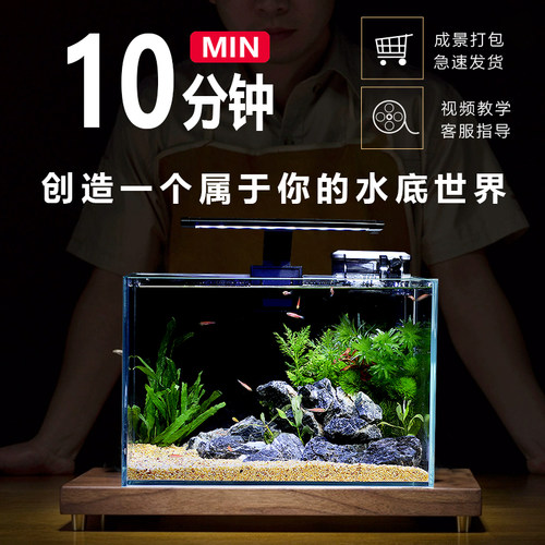 鱼缸客厅小型生态造景全套桌上小鱼缸餐桌电视柜旁一体免换水微观