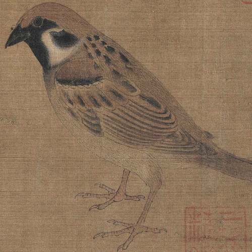 五代十国黄荃写生珍禽图高清微喷工笔花鸟画临摹画稿学习手稿底稿
