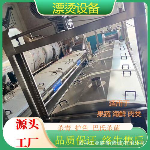 不锈钢大枣筛选设备 多功能毛豆风选机 商用果蔬清洗加工流水线