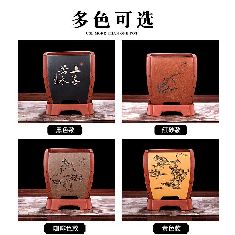 紫砂君子兰切角四方兰花花盆