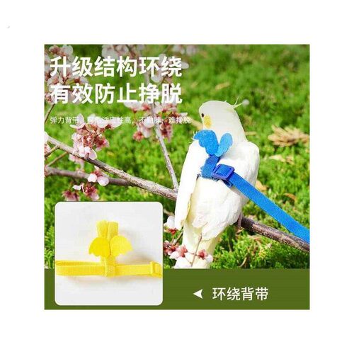 小太阳牵引绳小鸟外出绳鸟用放飞绳玄凤虎皮牡丹飞行外出背带遛鸟