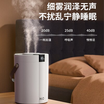 【2025新升级】纳米双喷加湿器家用静音小型大喷雾容量空调内卧室