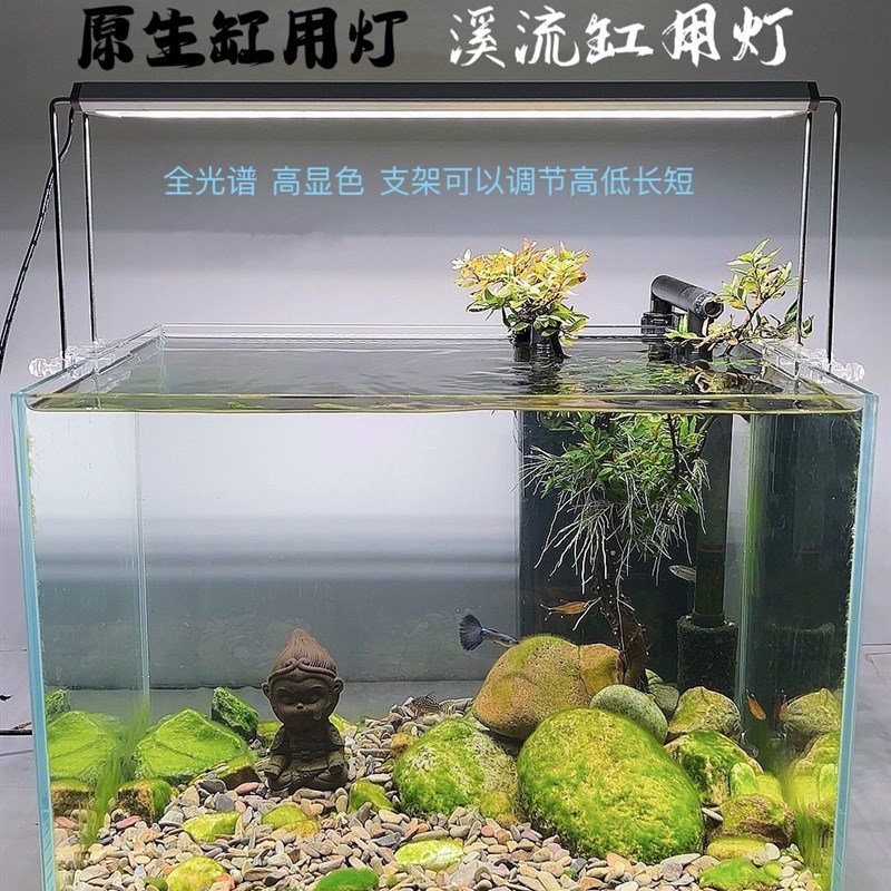 特威浦原生缸态溪流缸led水草植物暴藻鱼虾全光谱高显色高支架灯图片