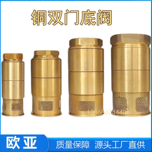 铜双门底阀加油机底阀油罐止回阀DN401寸2寸3寸4寸过滤网配件