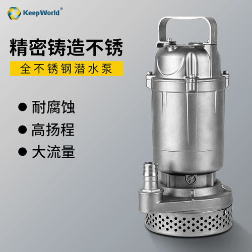 全不锈钢精密铸造潜水泵小型酸洗原色防腐蚀耐高温清水泵化工304