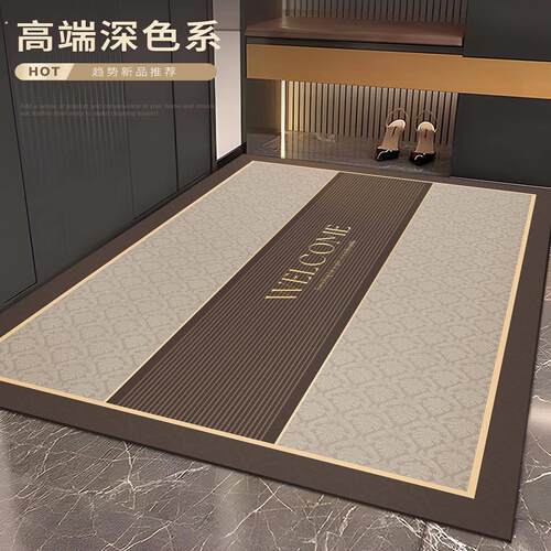轻奢高级感地垫入户门垫家用进门口防滑耐脏脚垫玄关可擦免洗地毯