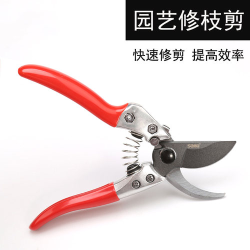 树枝修枝园林绿化园艺工具家用剪枝修花剪果树枝干省力多功能剪刀