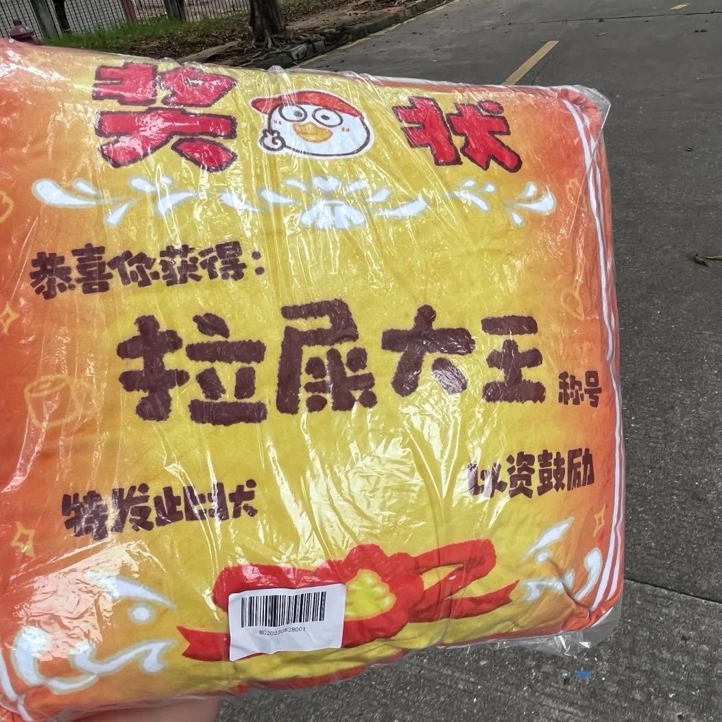 【小红书同款】创意抱枕拉屎大王奖状抱枕高颜值搞笑礼物搞怪可爱