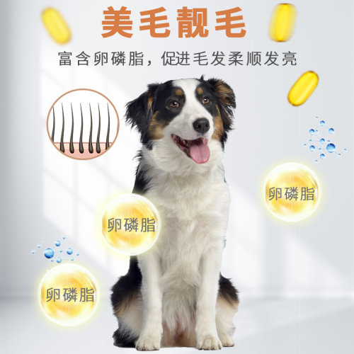 艾萨克边牧专用狗粮40斤装冻干犬粮幼犬成犬大包装美毛补钙牧羊犬