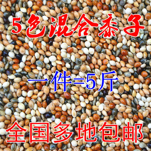 包邮 黑白红黄青黍子5色混合 鹦鹉鸟食 鸟粮 鸟饲料5斤装