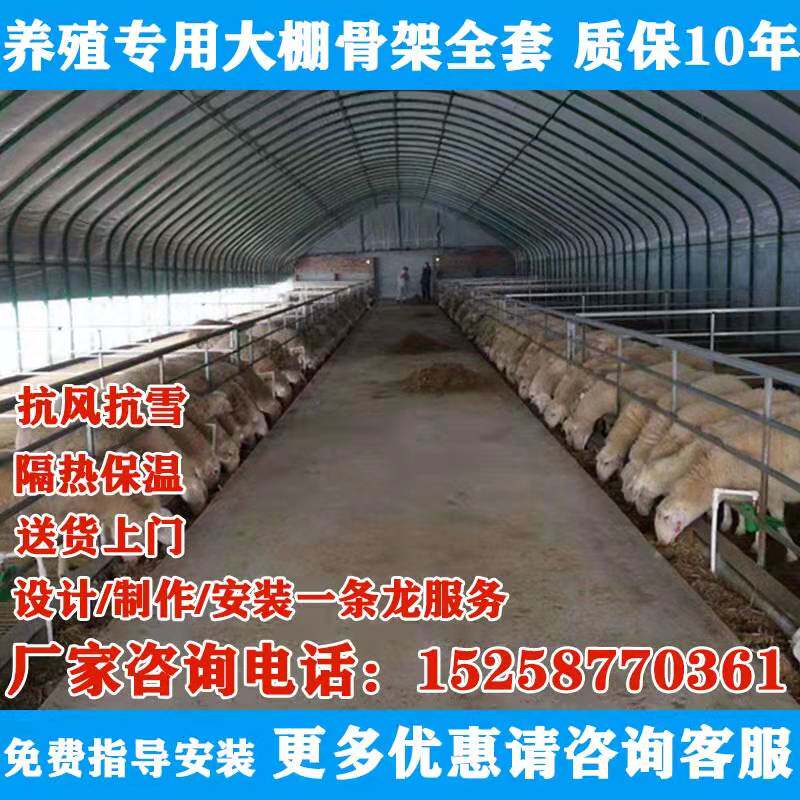养殖大棚骨架钢管全套猪鸡舍牛棚羊圈户外搭建椭圆管温室蔬菜大棚