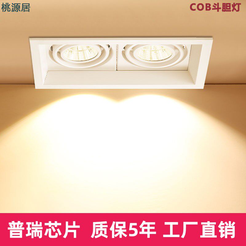 LED双头斗胆灯嵌入式cob射灯单头三头商用吊顶天花格栅方形豆胆灯