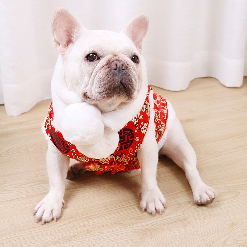 冬款法斗衣服巴哥犬斗牛犬胖狗马甲加绒过年喜庆拜年外套唐装年服
