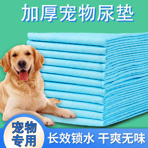 狗狗尿片小狗小猫吸水尿垫超大尿不湿金毛大号厚除臭尿布泰迪宠物