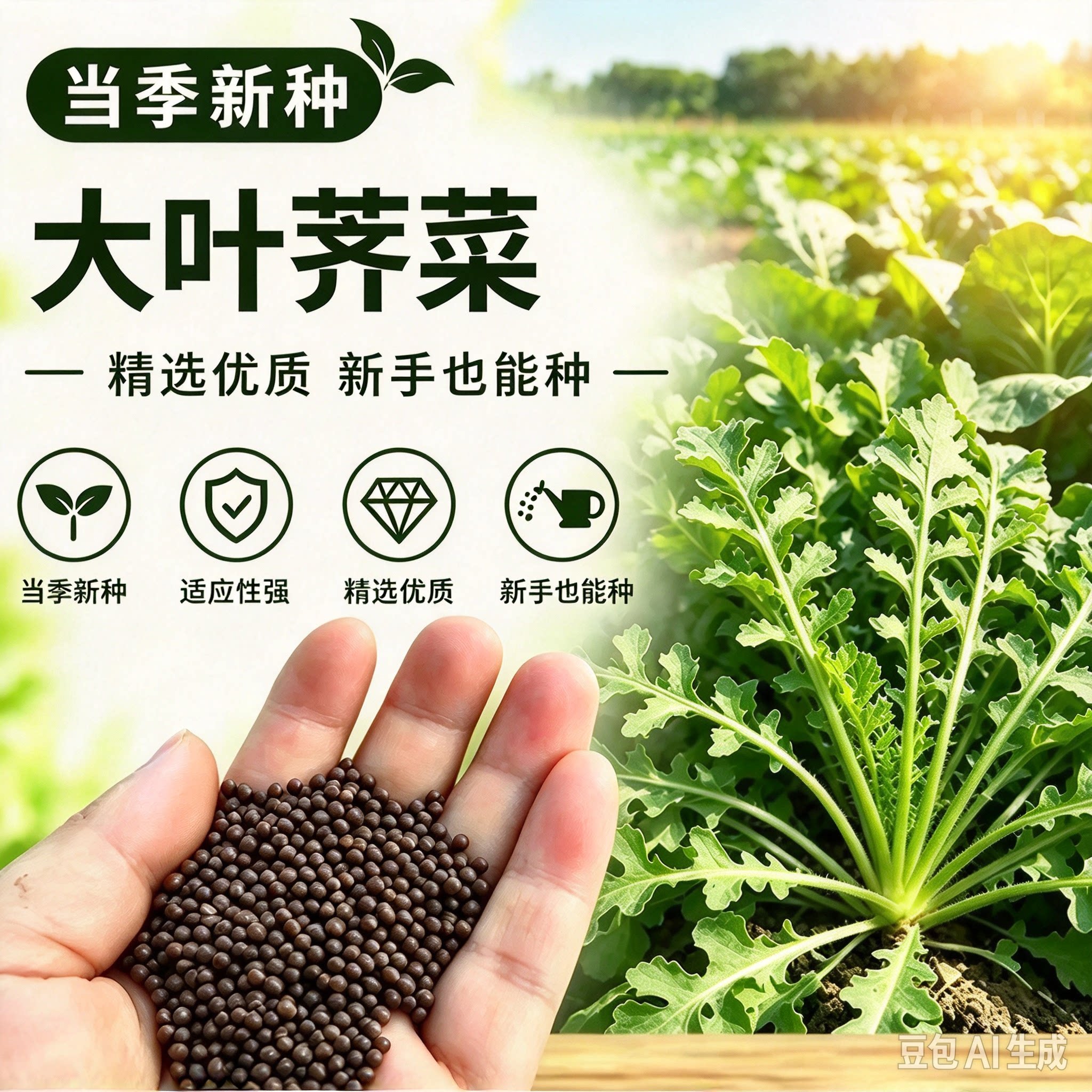 【大叶荠菜】清香鲜嫩阳台盆栽蔬菜四季种植简单春秋季MD