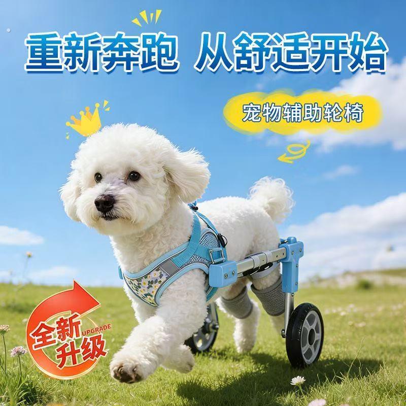 小狗伸缩辅助轮椅瘫痪助行器后腿残疾车狗辅助站立支架猫四轮轮椅