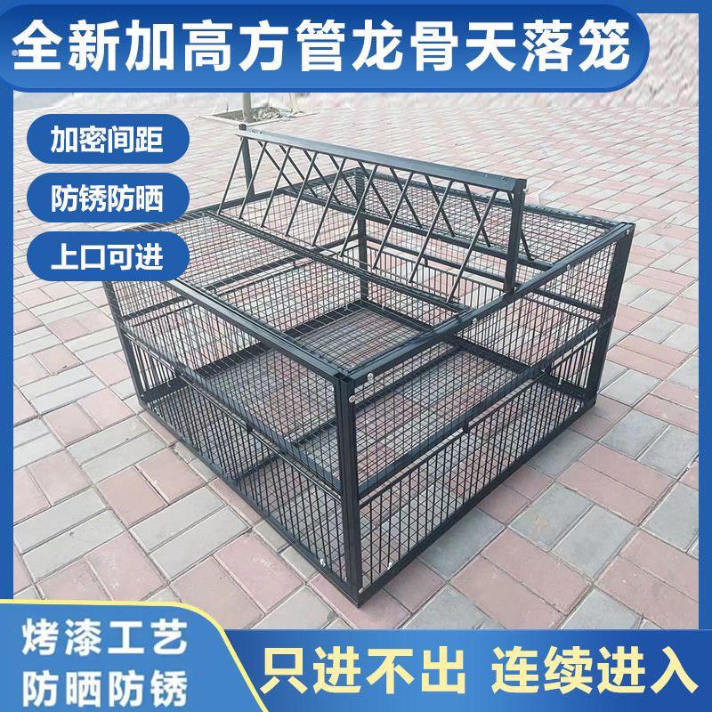 全自动天落捕笼收鸽子笼鸽子鸡鸭活络撞门笼信鸽室外屋顶跳笼神器