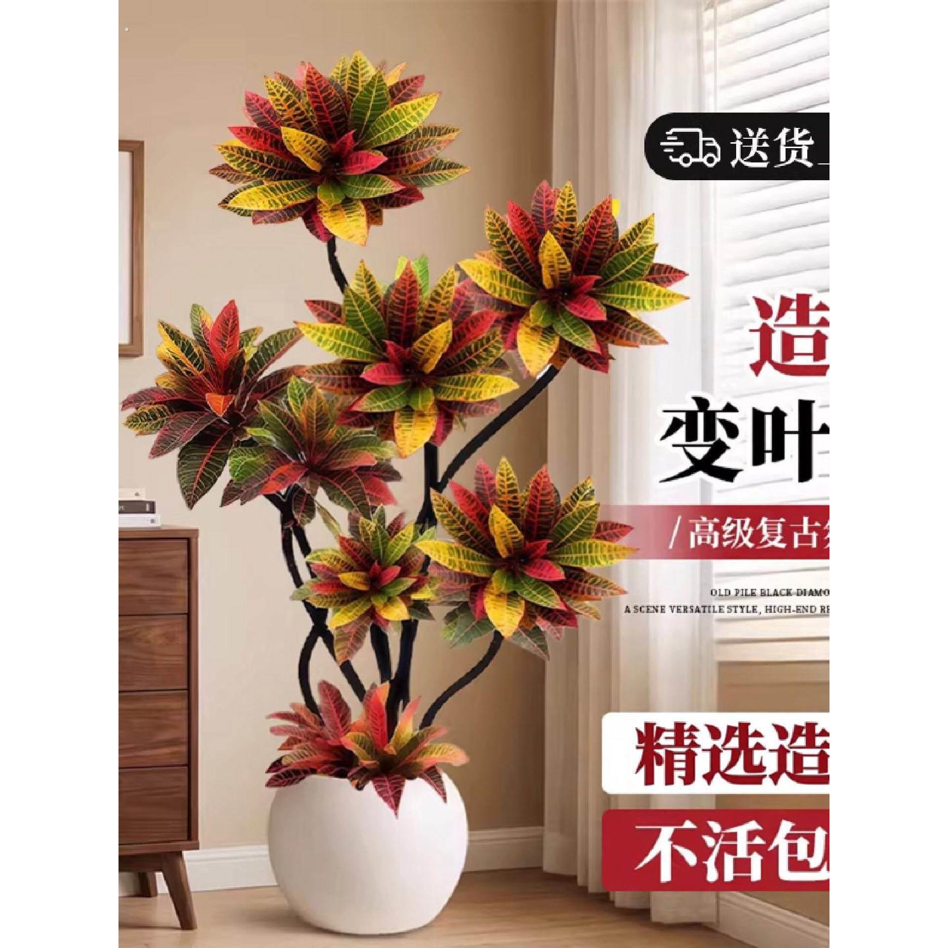 造型变色木客厅室内盆栽高级感乔迁送礼落地大型绿植七彩好养植物