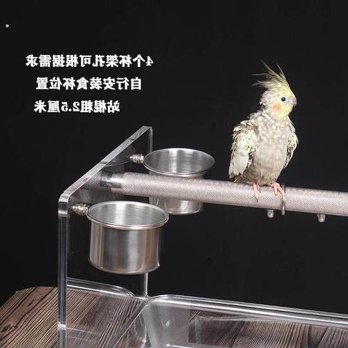 新款中大型鹦鹉磨砂站杆架子亚克力小鸟站架桌面站架