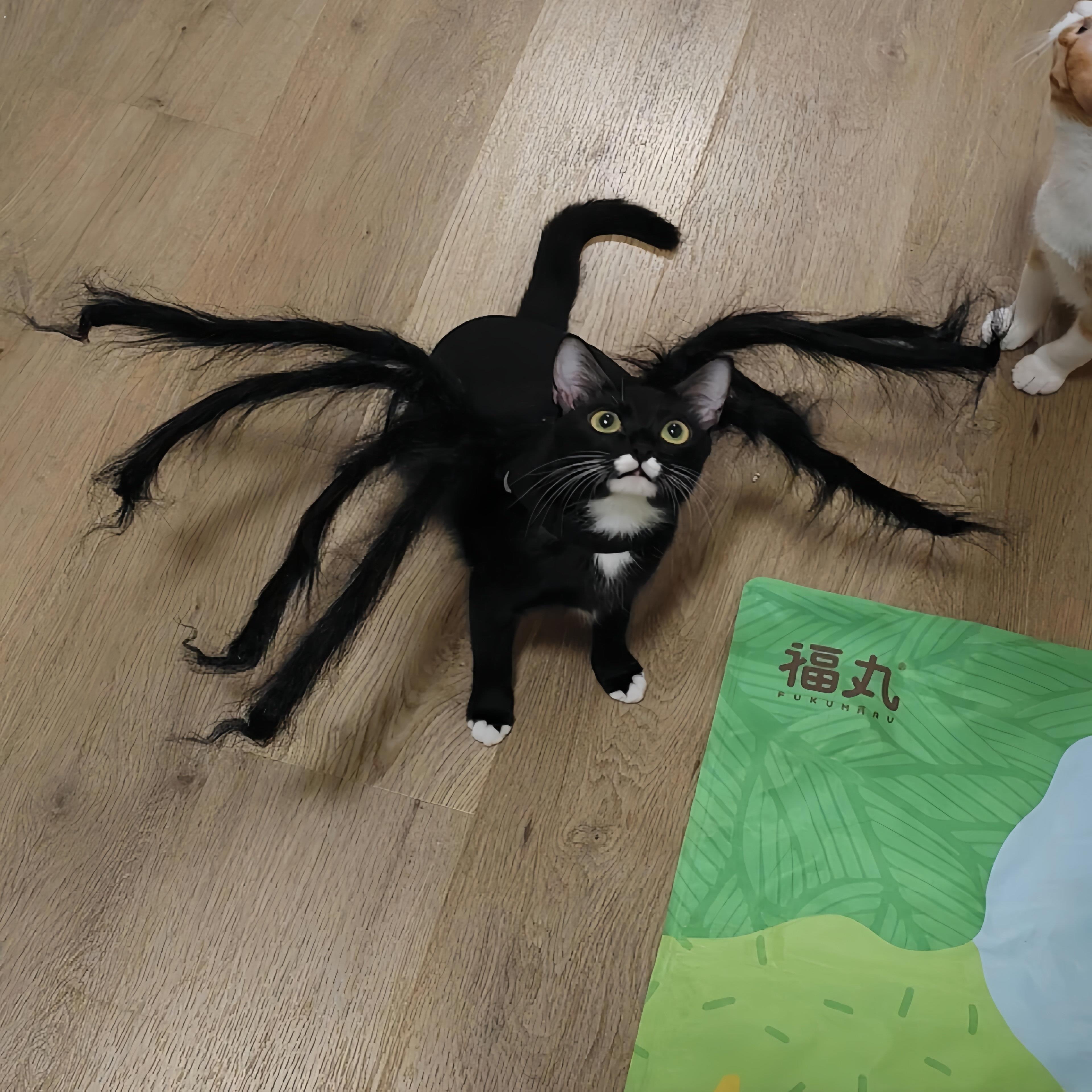 宠物蜘蛛衣服小狗猫咪恐怖彷真毛绒蜘蛛变身装派对装扮
