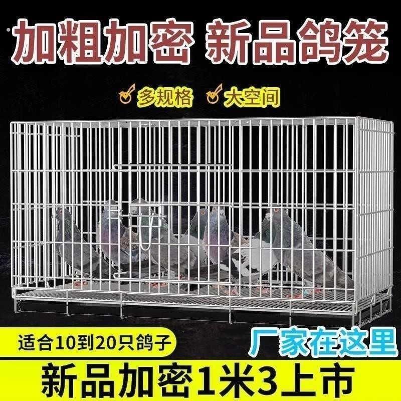 不锈钢鸽子笼养殖笼大室外二层鸟笼大全大空间鸽子笼子特大专用图片