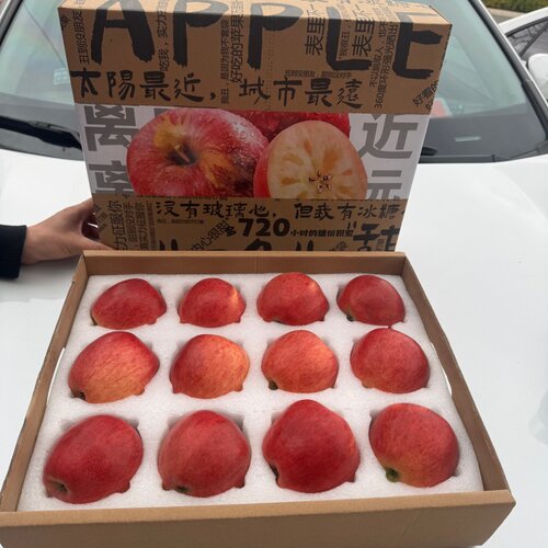 [松哥优选]昭通红露苹果特大果礼盒装约5-5.5斤(单果85+)满盒12个