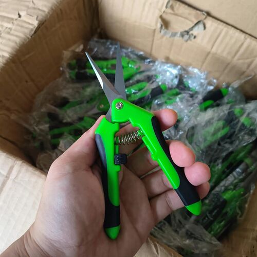 剪葡萄粒剪刀果枝剪摘果剪修枝剪家用不锈钢园艺剪摘果神器葡萄剪