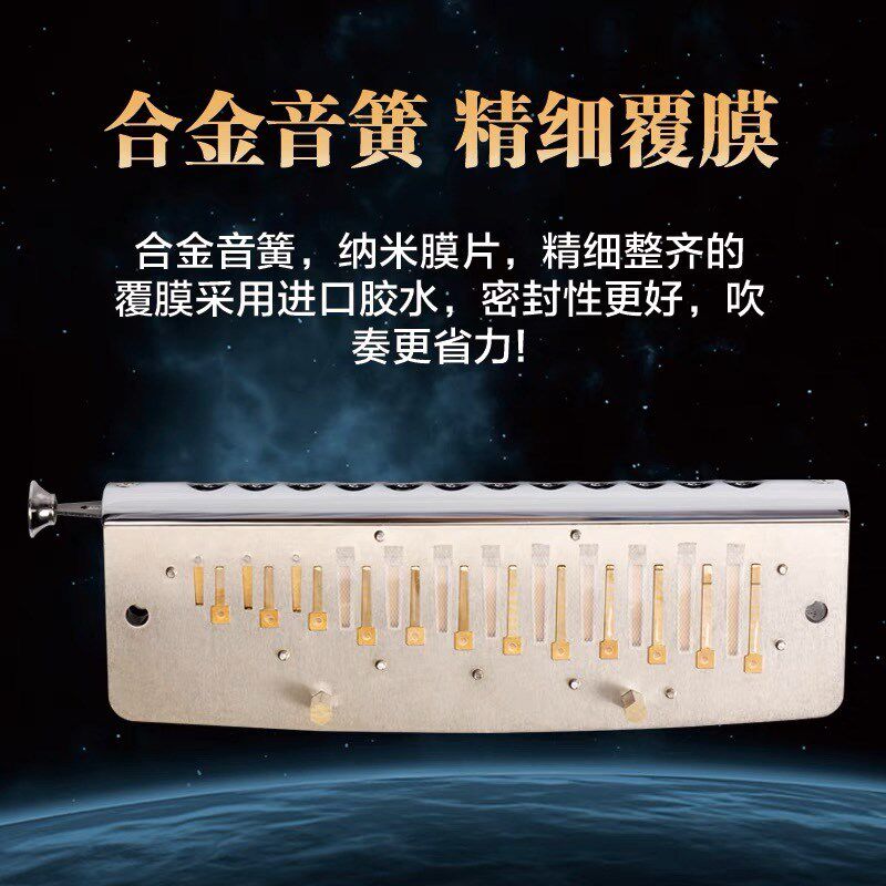 飞繁半音阶口琴仰望星空系列初学入门推荐12孔c调