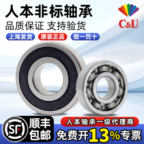 人本非标轴承62/22 62/28 63/22 63/28 60/22 TM62/32 60/28-2RSA