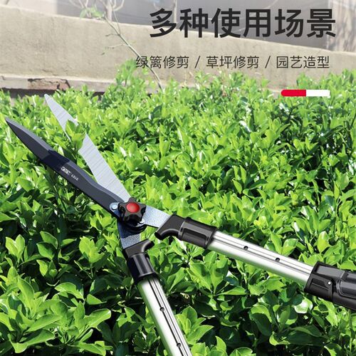 日本进口剪树枝专用剪刀园林修枝剪大剪刀省力园艺草坪绿篱花卉剪