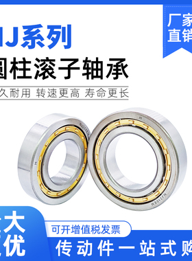 圆柱滚子轴承NJ405/406/407/408/409/410/411/412/413/414/415M