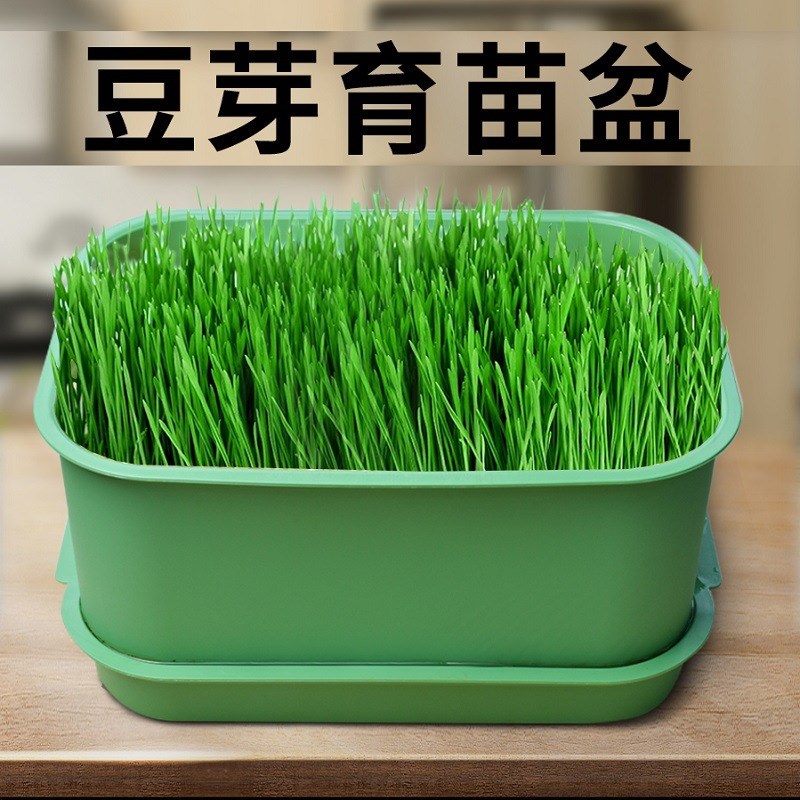 育苗盘种植发芽盆发豆芽家用豆芽机发芽盆专用神器生黄绿豆芽罐