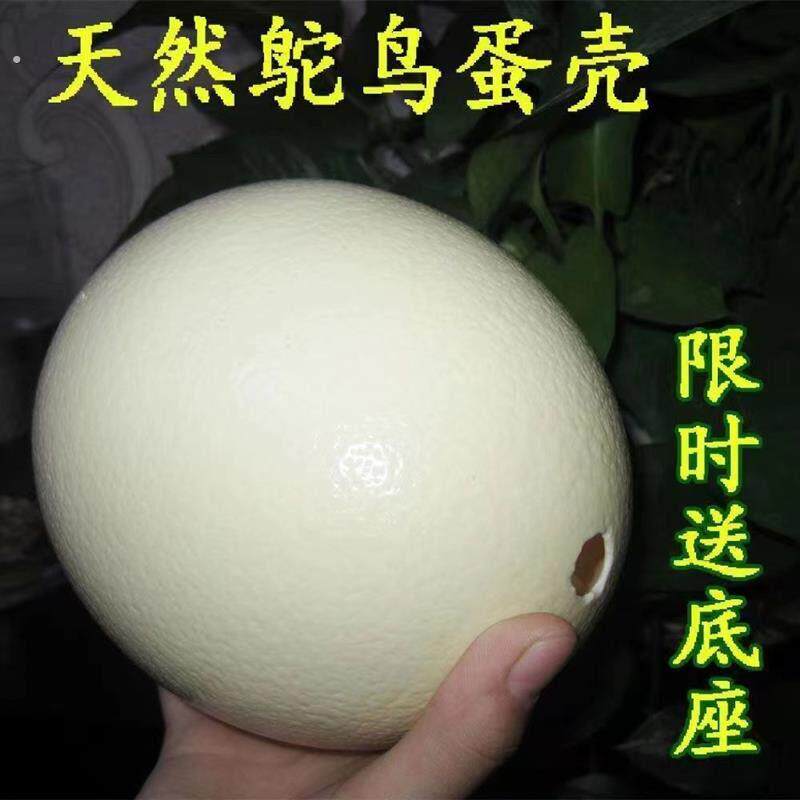 鸵鸟蛋壳送底座手工蛋雕民间艺术品雕刻工艺品