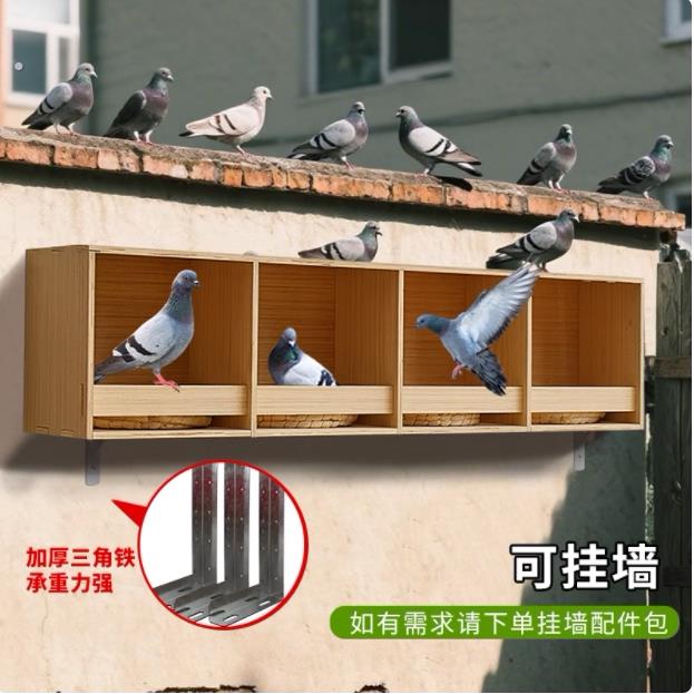 鸽子巢箱拼装鸽子窝信鸽组合巢箱赛鸽养殖配对笼木质阳台鸽具家用